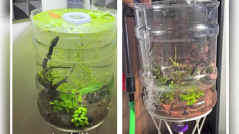 बेकार पड़ी 20 लीटर वाली पानी की केन से बनाए शानदार मिनी पॉन्ड, फ्री में होगी घर की सजावट