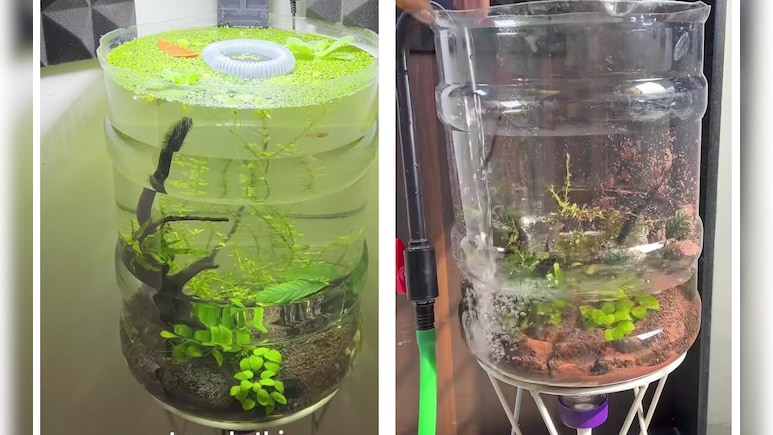 बेकार पड़ी 20 लीटर वाली पानी की केन से बनाए शानदार मिनी पॉन्ड, फ्री में होगी घर की सजावट