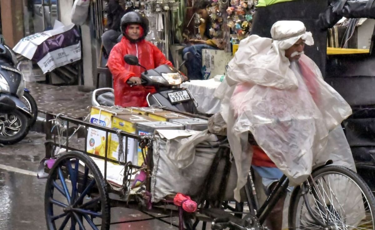 The Art of Baking: From Classic Bread to Artisan Pastries