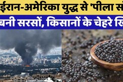 Iran-US war से 'पीला सोना' बनी Mustard | Rajasthan Top News | Mustard Oil Prices | Bikaner Mandi
