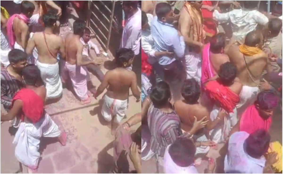 The Art of Baking: From Classic Bread to Artisan Pastries