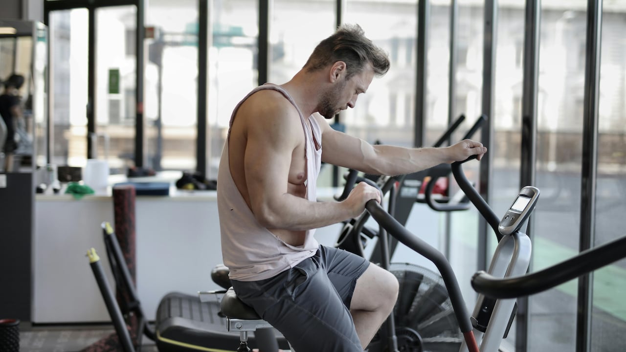 जानिए कैसे रोज़ का जिम आपकी ज़िंदगी पूरी तरह बदल सकता है, साथ ही देखें Workout Equipments की बेस्ट डील्स