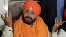 नवजोत सिंह सिद्धू ने मोहम्मद आमिर को क्यों बोला 'ढोंगी बाबा'?
