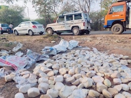 Food Authority Seizes Fungus-Laden Khoya In Jhansi, Dumps Adulterated Paneer In Noida Ahead of Holi