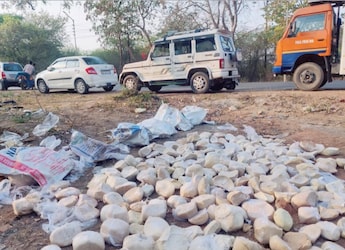 Food Authority Seizes Fungus-Laden Khoya In Jhansi, Dumps Adulterated Paneer In Noida Ahead of Holi