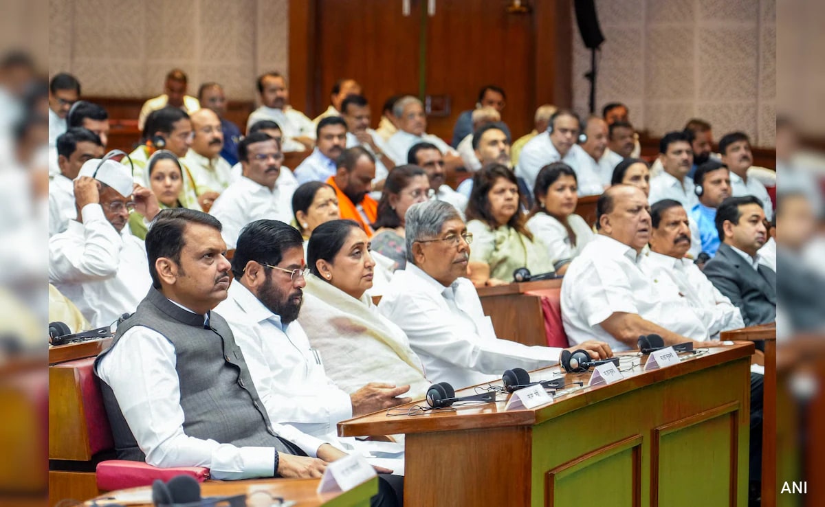 The Art of Baking: From Classic Bread to Artisan Pastries