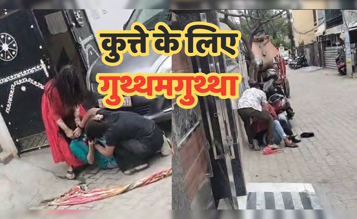Viral Video: आवारा कुत्तों को लेकर पेट लवर्स और पीड़ितों के बीच बवाल, बीच सड़क पर महिलाओं के बीच गुथ्थमगुथ्था 