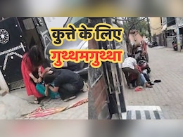 Viral Video: आवारा कुत्तों को लेकर पेट लवर्स और पीड़ितों के बीच बवाल, बीच सड़क पर महिलाओं के बीच गुथ्थमगुथ्था&nbsp;