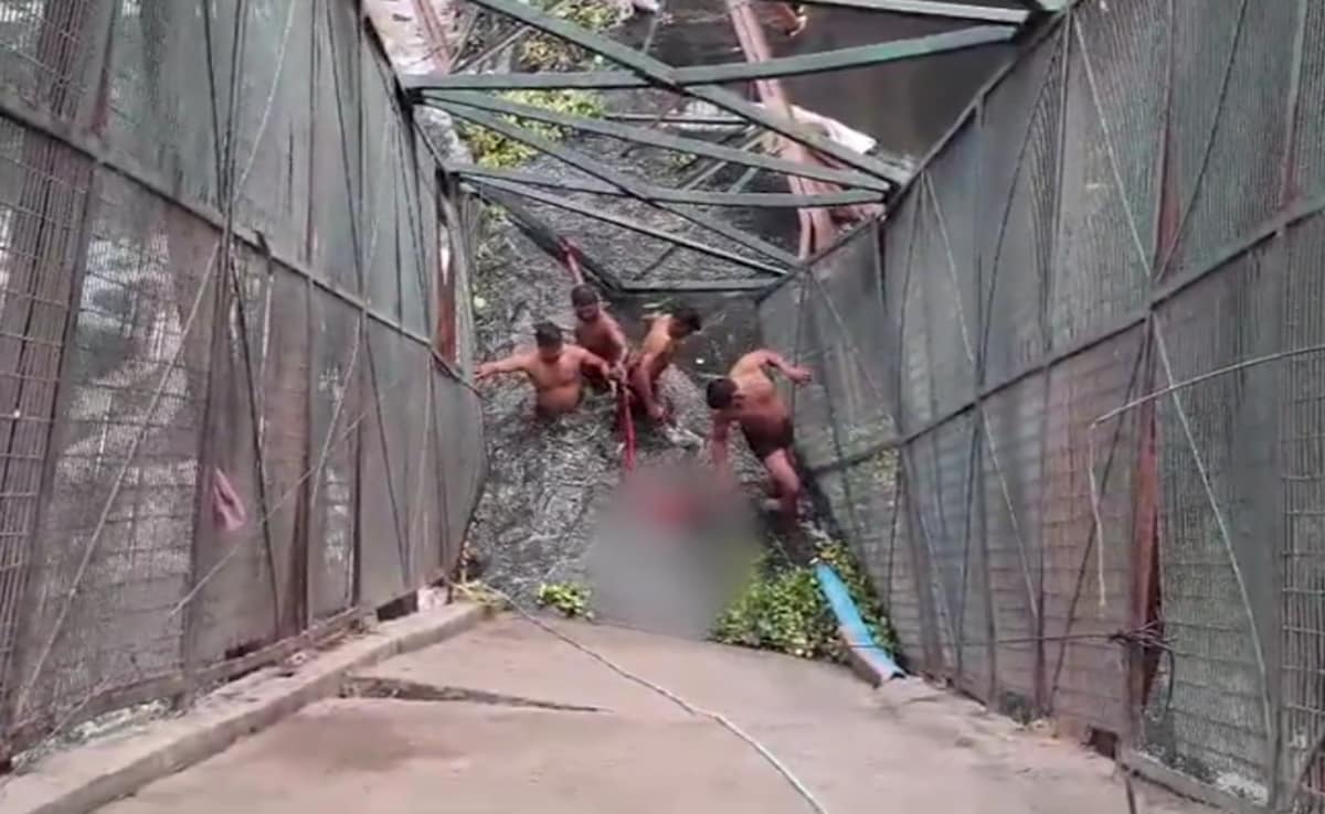 The Art of Baking: From Classic Bread to Artisan Pastries