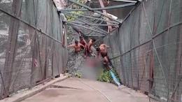Woman Killed After 60-Foot Iron Bridge Collapses Into Drain In Delhi