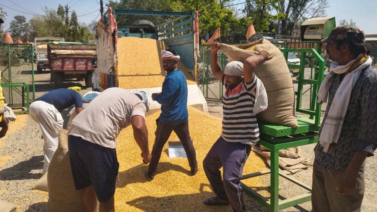 Latest and Breaking News on NDTV