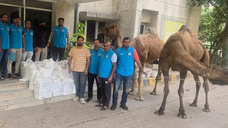 जंगल के रास्ते ऊंटों से हो रही थी शराब तस्करी, साउथ दिल्ली पुलिस का बड़ा खुलासा, आरोपी गिरफ्तार