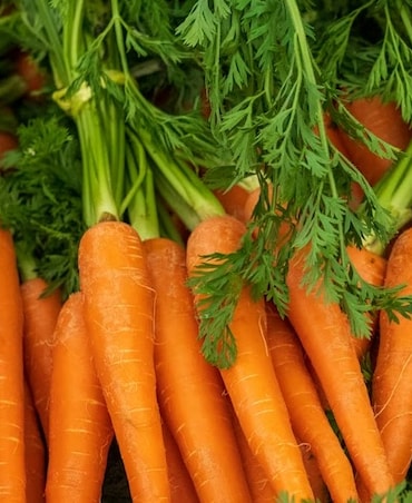 Vegetables To Boost Liver Health