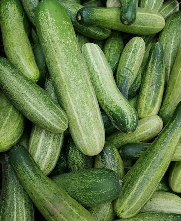 Foods That Naturally Cool Your Body In Summer