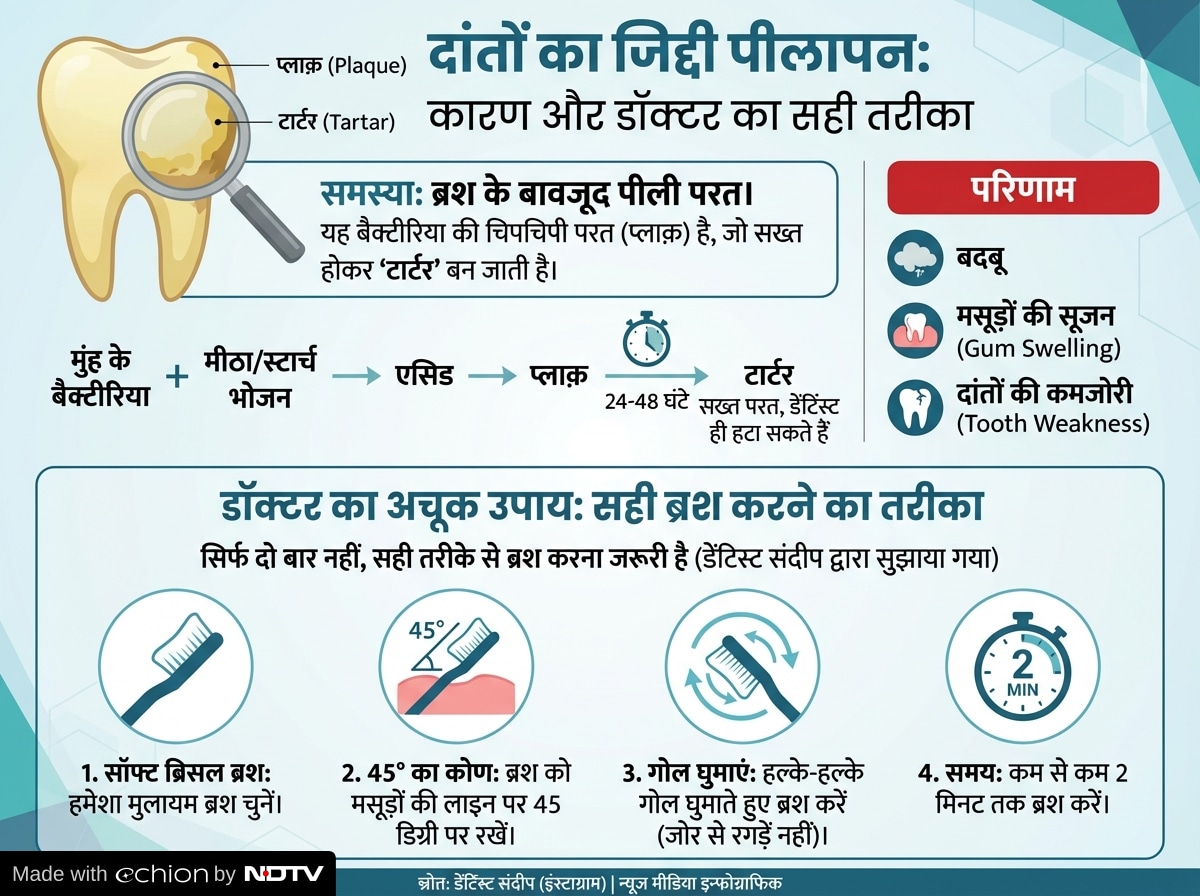 Latest and Breaking News on NDTV