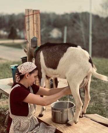 Health Benefits Of Goat Milk - Key Points