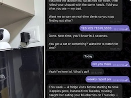 किचन में चोरी कर रही थी कुक, देखते ही AI रूममेट ने किया कुछ ऐसा, सोशल मीडिया पर मचा हंगामा