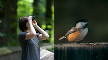 Birding Can Boost Brain Health And Slow Ageing, New Study Reveals