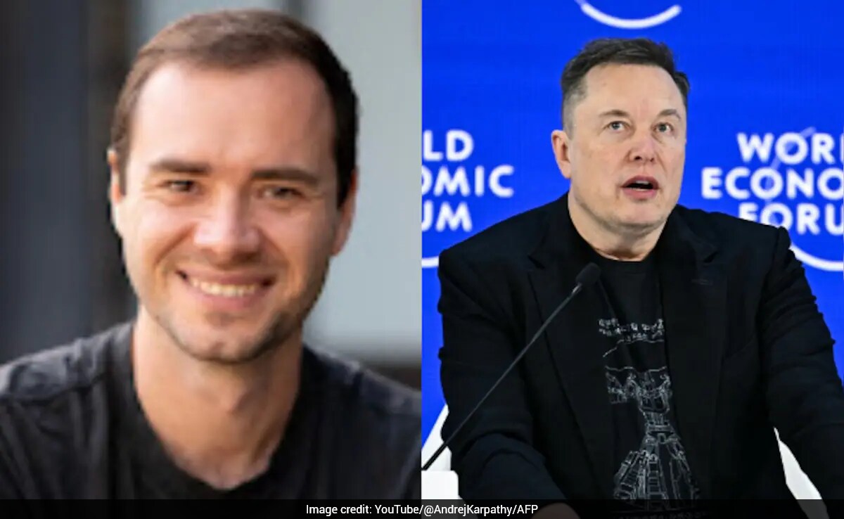 OpenAI Co-Founder Andrej Karpathy Ranks Jobs By AI Risk, Elon Musk ...