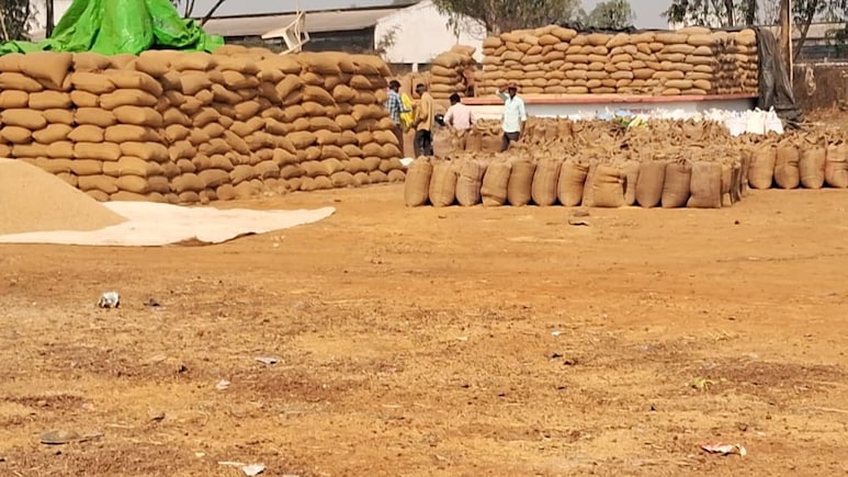 धान के MSP पर सियासत तेज: कांग्रेस का 2600 करोड़ दबाने का आरोप, BJP ने किया पलटवार