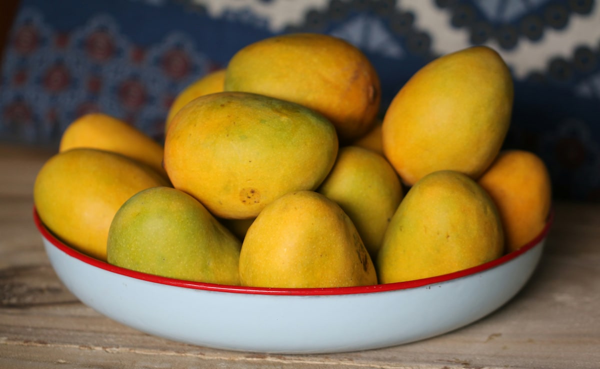 Latest and Breaking News on NDTV Latest and Breaking News on NDTV