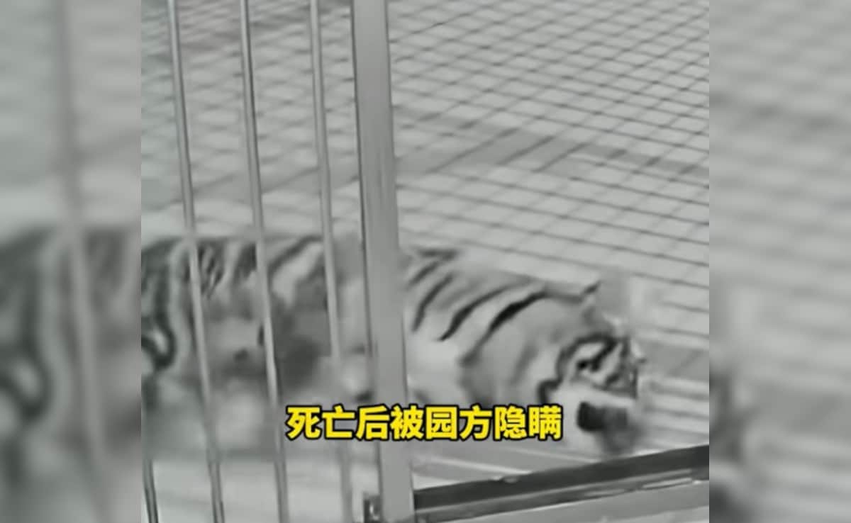 Latest and Breaking News on NDTV