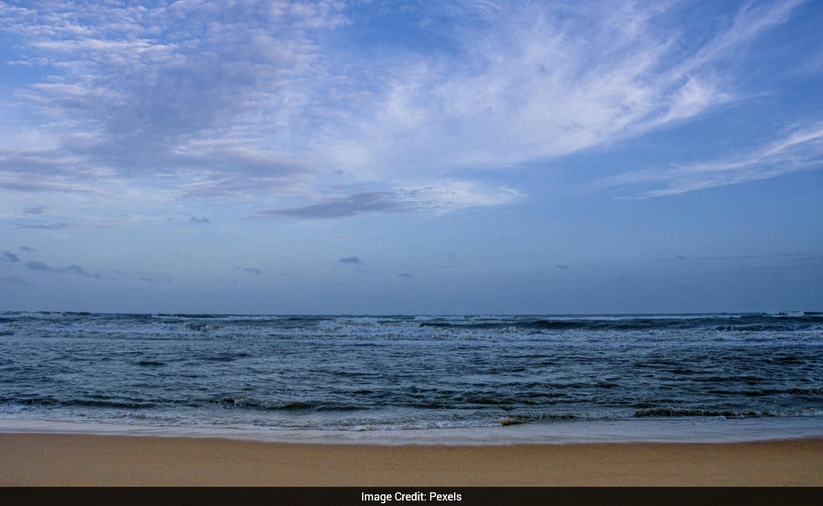 "Beaches Cleaner Than Many European Coastlines": Woman Shares What Surprised Her During Odisha Trip
