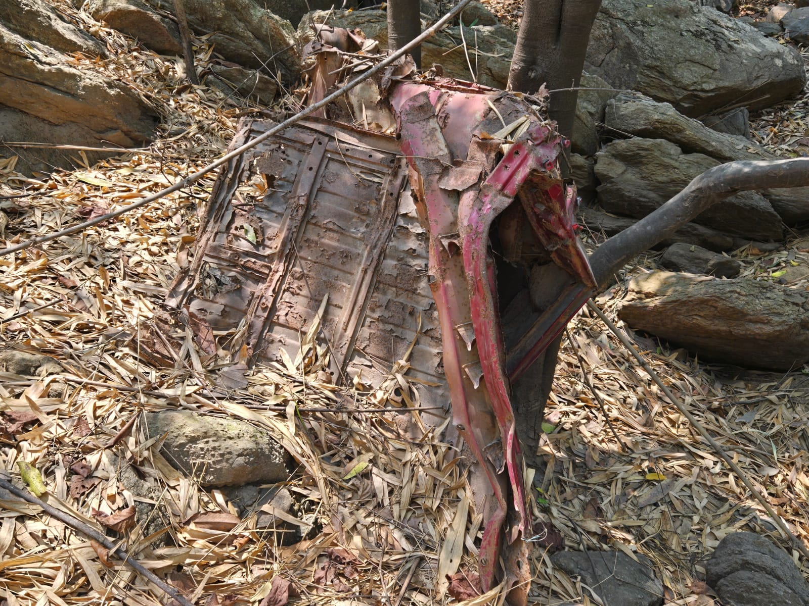 Latest and Breaking News on NDTV