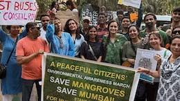 Celebrities, Activists Protest Mangrove Felling For Coastal Road In Mumbai