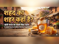 भारत के किस शहर को कहा जाता है City of Honey? मिठास ऐसी कि दुनिया है दीवानी