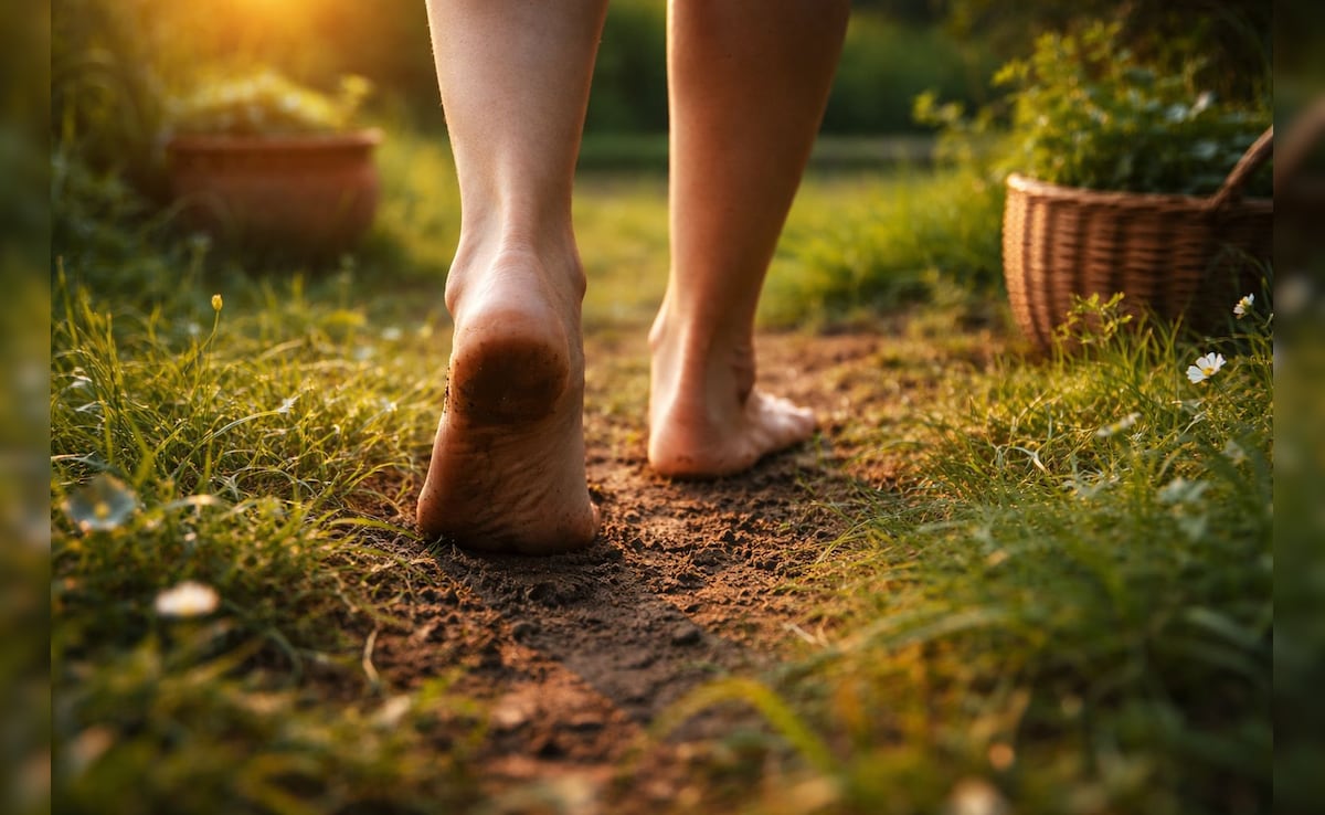 Latest and Breaking News on NDTV