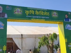 मोहन सरकार की कृषि कैबिनेट बैठक कल बड़वानी में, बड़ी घोषणा की संभावना, यहां सबसे ज्यादा केला-कपास का उत्पादन