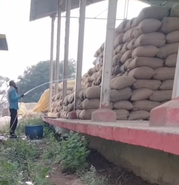 Chhattisgarh Dhan Kharidi: वायरल वीडियो में पानी डालता दिखा कर्मचारी