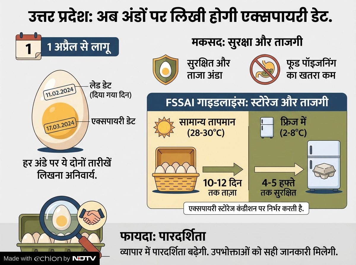 Latest and Breaking News on NDTV