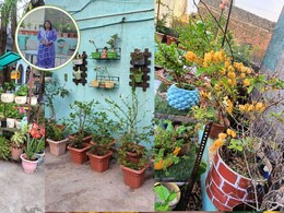 बचपन से बागवानी का था शौक, डॉ. प्रेरणा ने छत को बना दिया मिनी गार्डन, गर्मी में 10&deg; कम रहता है यहां का तापमान