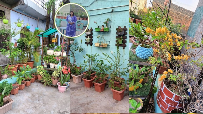 बचपन से बागवानी का था शौक, डॉ. प्रेरणा ने छत को बना दिया मिनी गार्डन, गर्मी में 10&deg; कम रहता है यहां का तापमान