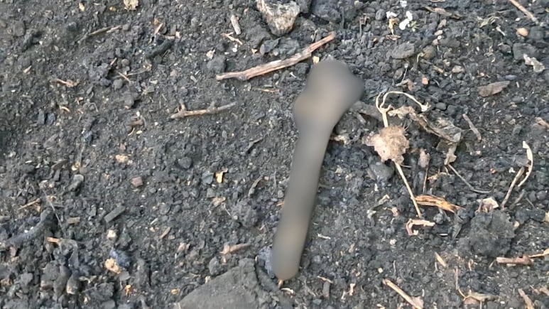 दानापुर में नहर किनारे मिला कटा हुआ पैर और जली हड्डियां, हत्या या गहरी साजिश, छानबीन में जुटी पुलिस