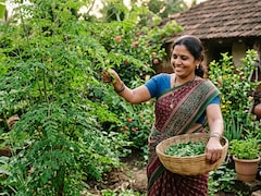 Moringa Is The Ultimate Herb For Your Heart; Here's How