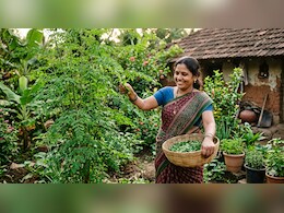 सहजन को चमत्कारी पौधा क्यों कहा जाता है? यहां जानें इसके 6 बड़े फायदे...