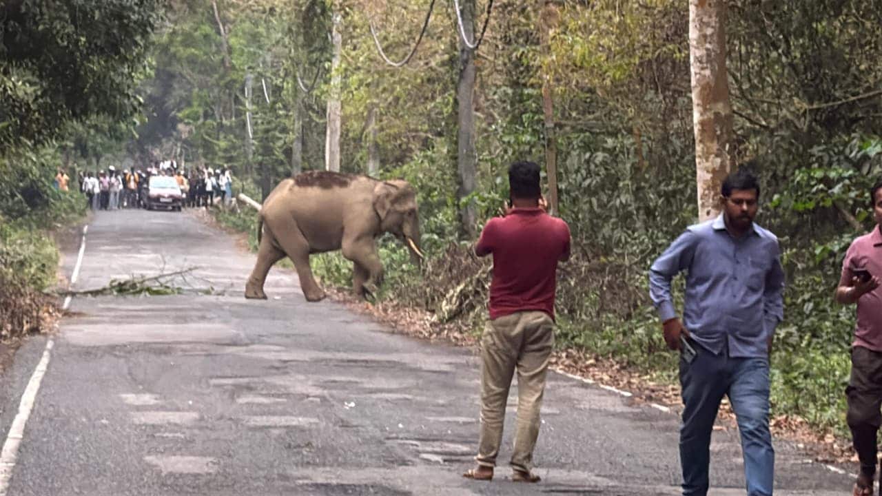 Latest and Breaking News on NDTV