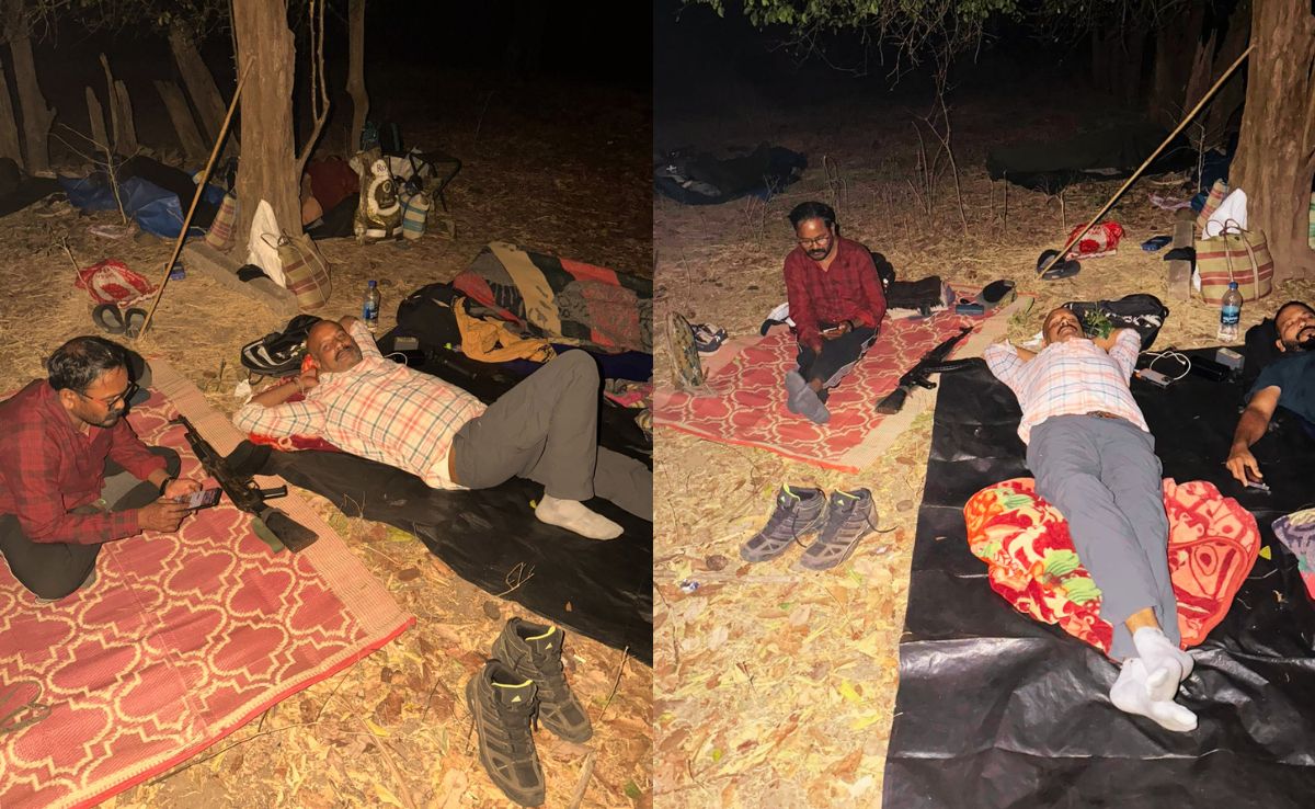 Paparao Surrender: रिपोर्टर विकास तिवारी के लिए ये वक्त डर और खुशी का भी था. जंगल में पापा राव और उसके साथियों के साथ बिताई रात. जिसमें जमीन ही बिस्तर था और खुला आसमान छत. डर इसलिए क्योंकि कुछ अनहोनी न हो जाए और खुशी इसलिए क्योंकि सबसे बड़े कमांडर का सरेंडर होने जा रहा था.