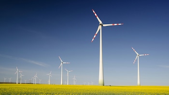 Adani Group To Manufacture India's Longest Wind Turbine Blade As Localisation Drive Deepens