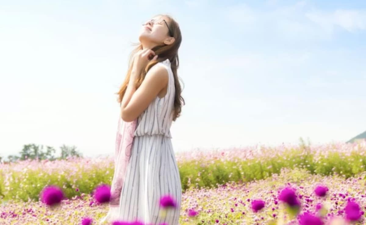 Latest and Breaking News on NDTV