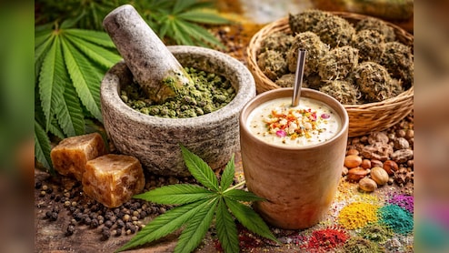 Holi 2026: भांग और गांजा में क्या फर्क है? इसके फायदे-नुकसान, कितनी देर रहता है नशा और भांग का नशा उतारने के घरेलू उपाय | FAQs