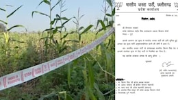 Chhattisgarh News: भाजपा नेता विनय ताम्रकार पार्टी से निलंबित, Durg के फार्महाउस में अफीम की खेती करने का आरोप