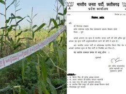 Chhattisgarh News: भाजपा नेता विनय ताम्रकार पार्टी से निलंबित, Durg के फार्महाउस में अफीम की खेती करने का आरोप