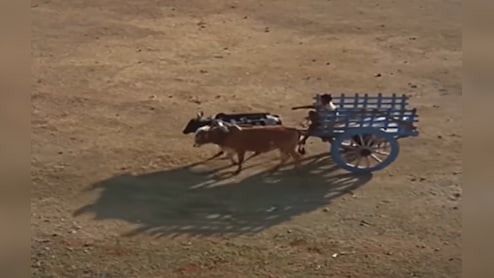 अरिजीत सिंह के गाने नहीं, मुकेश का ये गीत है टूटे दिलों की मरहम, 55 साल बाद भी सुनते ही आ जाते हैं आंसू