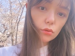 निक जोनस की दोस्त माया किब्बेल की 30 साल में मौत, जानिए क्या है Wilson’s Disease और इसके लक्षण