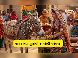 Trending News: गाढवांची चंगळ! महिलांनी गाढवांना खायला दिली पंचपक्वानं, काय आहे श्रद्धेचा हा प्रकार?