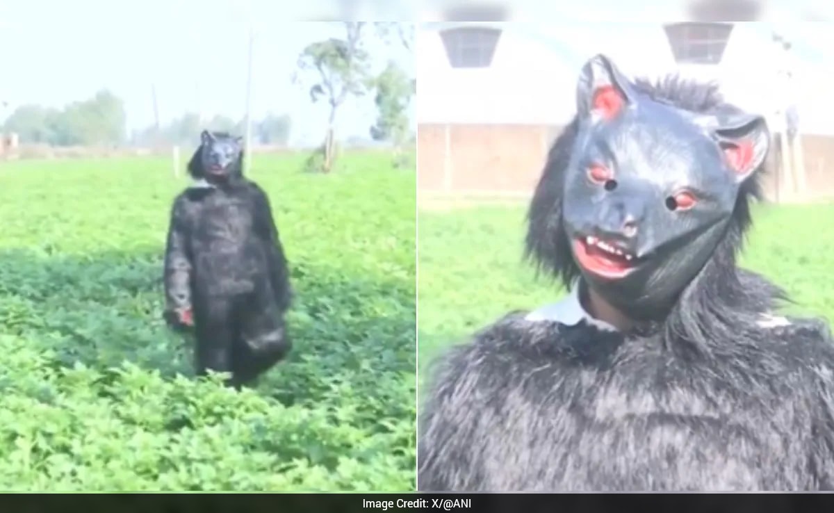 The Art of Baking: From Classic Bread to Artisan Pastries